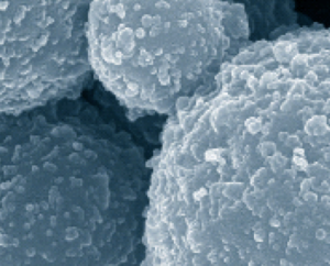 HRP系列_無機(jī)複合微球